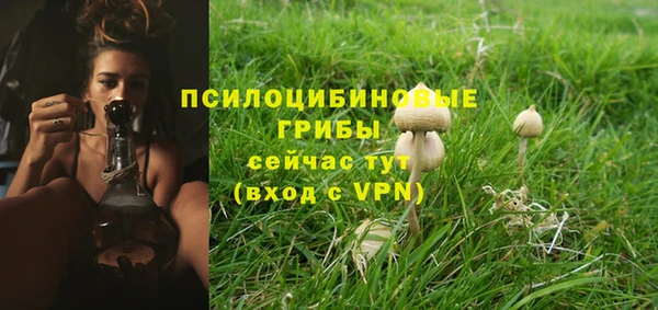 стафф Аркадак
