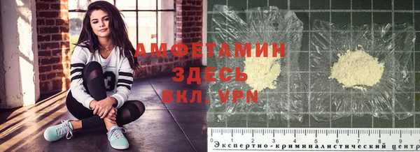 стафф Аркадак